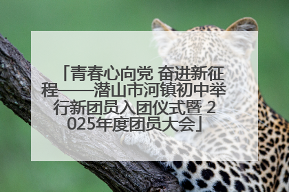 青春心向党 奋进新征程——潜山市河镇初中举行新团员入团仪式暨 2025年度团员大会