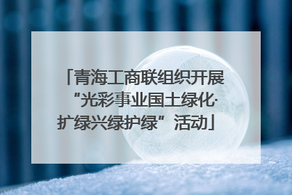青海工商联组织开展“光彩事业国土绿化·扩绿兴绿护绿”活动