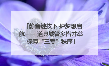 静音键按下 护梦想启航——道县城管多措并举保障“三考”秩序