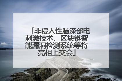 非侵入性脑深部电刺激技术、区块链智能漏洞检测系统等将亮相上交会