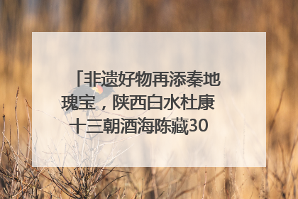 非遗好物再添秦地瑰宝，陕西白水杜康十三朝酒海陈藏30年别具一格