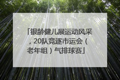 银龄健儿展运动风采，20队竞逐市运会（老年组）气排球赛