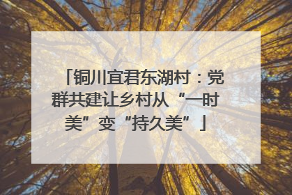铜川宜君东湖村：党群共建让乡村从“一时美”变“持久美”