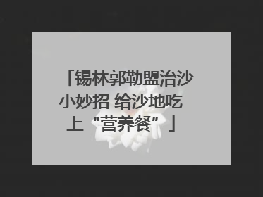 锡林郭勒盟治沙小妙招 给沙地吃上“营养餐”