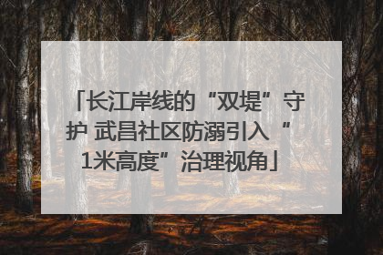 长江岸线的“双堤”守护 武昌社区防溺引入“1米高度”治理视角