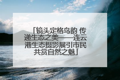 镜头定格鸟韵 传递生态之美——连云港生态摄影展引市民共赏自然之魅