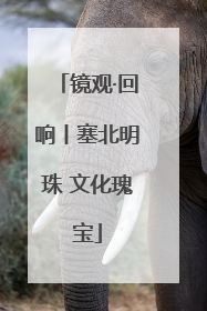 镜观·回响丨塞北明珠 文化瑰宝