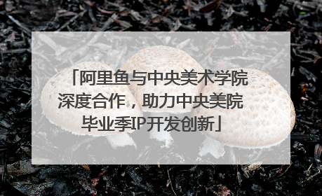 阿里鱼与中央美术学院深度合作，助力中央美院毕业季IP开发创新