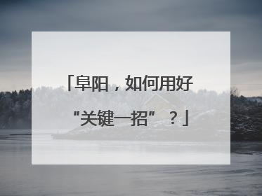 阜阳，如何用好“关键一招”？