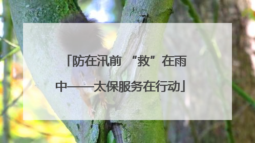 防在汛前 “救”在雨中——太保服务在行动