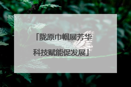 陇原巾帼展芳华 科技赋能促发展