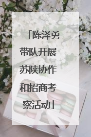陈泽勇带队开展苏陕协作和招商考察活动