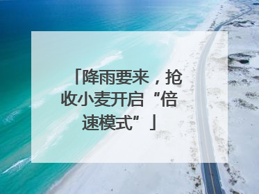降雨要来，抢收小麦开启“倍速模式”