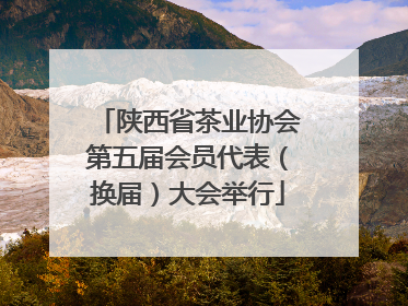 陕西省茶业协会第五届会员代表（换届）大会举行