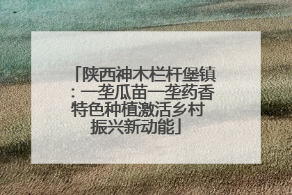 陕西神木栏杆堡镇：一垄瓜苗一垄药香 特色种植激活乡村振兴新动能
