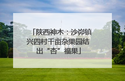 陕西神木：沙峁镇兴四村千亩杂果园结出“杏”福果