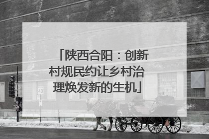 陕西合阳：创新村规民约让乡村治理焕发新的生机