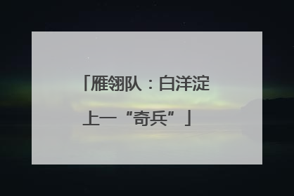 雁翎队：白洋淀上一“奇兵”