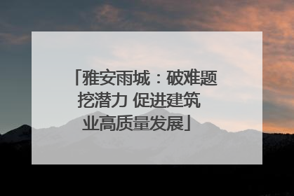 雅安雨城：破难题 挖潜力 促进建筑业高质量发展