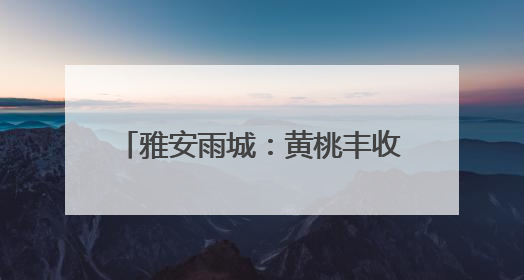 雅安雨城：黄桃丰收 邀您来采摘和品尝