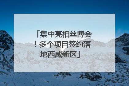 集中亮相丝博会！多个项目签约落地西咸新区