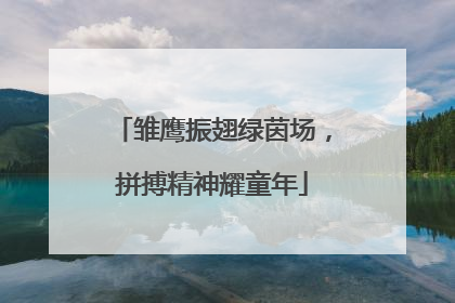 雏鹰振翅绿茵场，拼搏精神耀童年