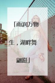 雨润万物生，湖畔舞翩跹