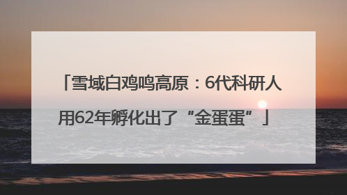 雪域白鸡鸣高原：6代科研人用62年孵化出了“金蛋蛋”