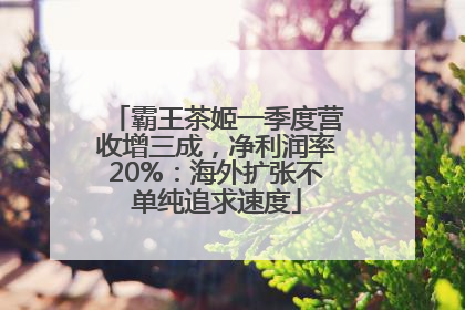 霸王茶姬一季度营收增三成，净利润率20%：海外扩张不单纯追求速度
