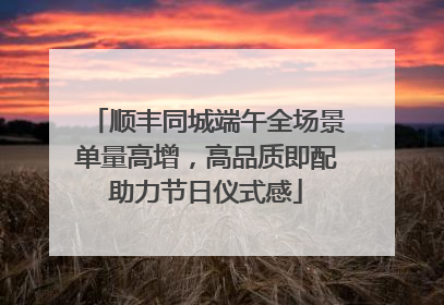 顺丰同城端午全场景单量高增，高品质即配助力节日仪式感