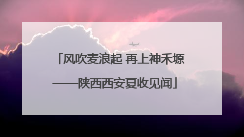 风吹麦浪起 再上神禾塬——陕西西安夏收见闻