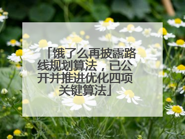 饿了么再披露路线规划算法，已公开并推进优化四项关键算法