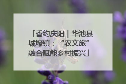 香约庆阳｜华池县城壕镇：“农文旅”融合赋能乡村振兴