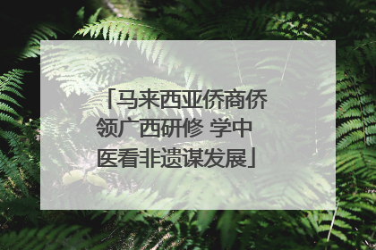 马来西亚侨商侨领广西研修 学中医看非遗谋发展