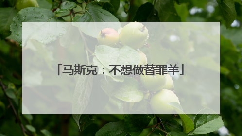 马斯克：不想做替罪羊