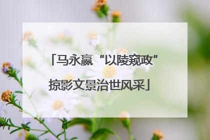 马永嬴“以陵窥政” 掠影文景治世风采