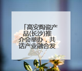 高安陶瓷产品(长沙)推介会举办，共话产业融合发展新篇章