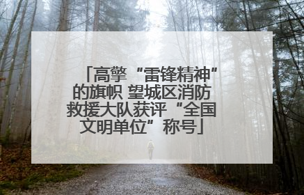 高擎“雷锋精神”的旗帜 望城区消防救援大队获评“全国文明单位”称号
