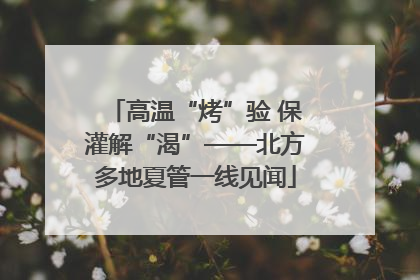 高温“烤”验 保灌解“渴”——北方多地夏管一线见闻
