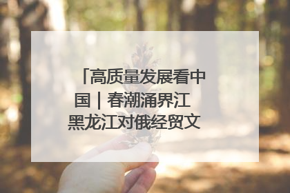高质量发展看中国｜春潮涌界江 黑龙江对俄经贸文旅交流绿意盎然