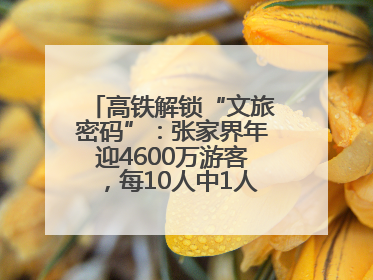 高铁解锁“文旅密码”：张家界年迎4600万游客，每10人中1人乘高铁而来