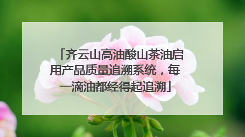 齐云山高油酸山茶油启用产品质量追溯系统，每一滴油都经得起追溯
