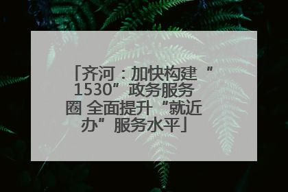 齐河：加快构建“1530”政务服务圈 全面提升“就近办”服务水平