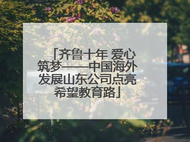 齐鲁十年 爱心筑梦——中国海外发展山东公司点亮希望教育路