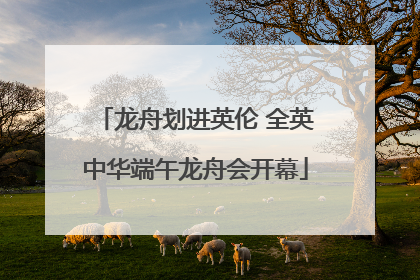 龙舟划进英伦 全英中华端午龙舟会开幕