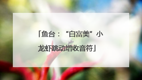 鱼台：“白富美”小龙虾跳动增收音符