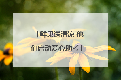 鲜果送清凉 他们启动爱心助考