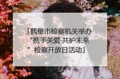 鹤壁市检察机关举办“携手关爱·共护未来”检察开放日活动