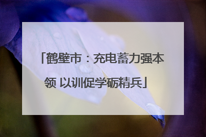鹤壁市：充电蓄力强本领 以训促学砺精兵