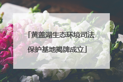 黄盖湖生态环境司法保护基地揭牌成立